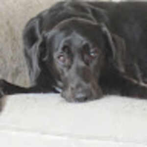 Meet your Posher, Jared